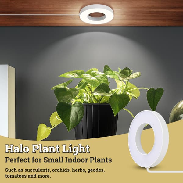 LED-lampe