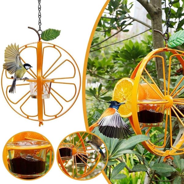pala - Kolibrin syöttölaite - Ulkosyöttölaite ja juomakuppi - Kolibrin syöttölaite - Syöttölaite Clementine Oriolelle - Oranssi