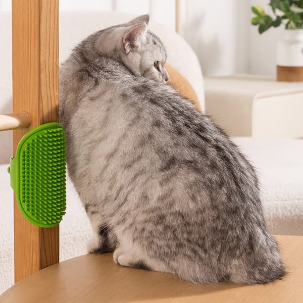 Kattborste Använd kattborsten Kattborste Hörn
