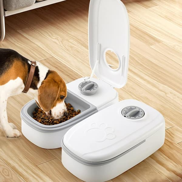 Automatisk kattefoderautomat med isterninger - 2-måltidsskål til små hunde - Dispenser til tør- og vådfoder til katte, 48-timers timer