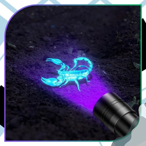 UV LED -taskulamppu, 395 nanometriä