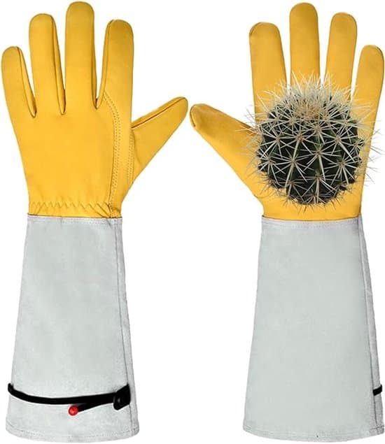 par - Rosbeskärningstagg - resistenta handskar - Tagg - resistenta trädgårdshandskar - Långärmade trädgårdsarbetshandskar - Grå - 42 cm