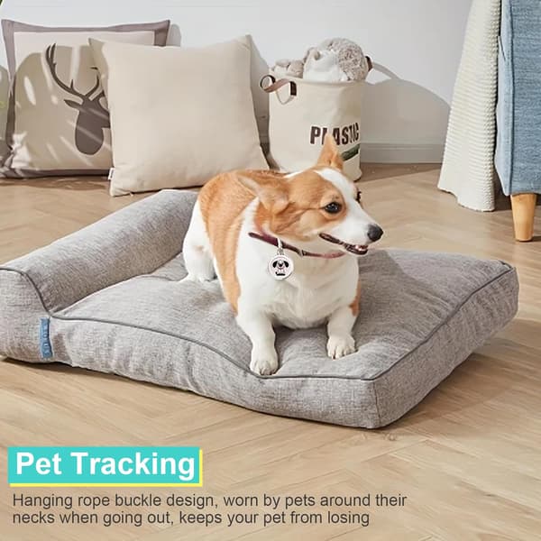Halsbånd til katte, katte-tracker, hunde-tracker, kæledyrs-tracker, killinger, GPS-tracker til katte og hunde | Universal Android og iOS | Ingen månedlige gebyrer