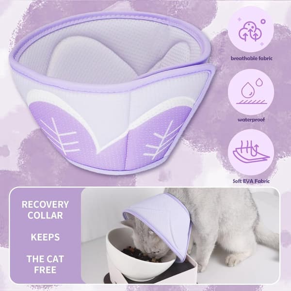 Kattkrage - Skyddskrage Katt - Krage Katt Operation