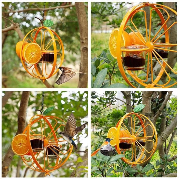 pala - Kolibrin syöttölaite - Ulkosyöttölaite ja juomakuppi - Kolibrin syöttölaite - Syöttölaite Clementine Oriolelle - Oranssi