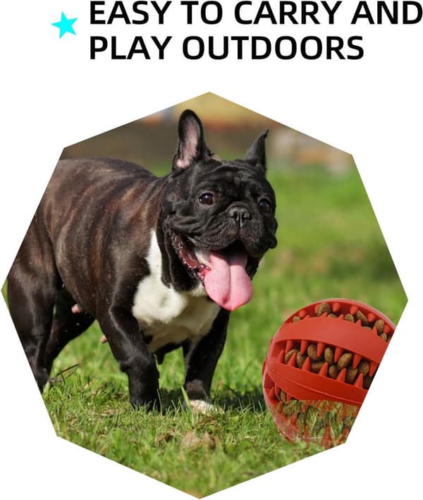 Holdbar tyggebold til hunde - Bideresistent foderdispenser og tandrenser