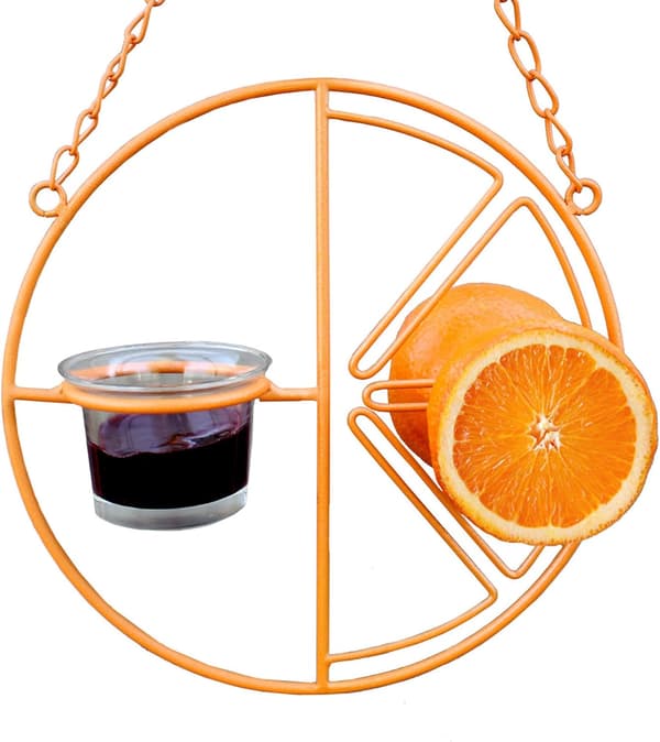 Automatisk fuglefoderautomat Clementine Oriole Feeder, orange