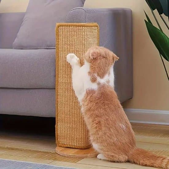 Karton Kattekradsetræ - Design Kradser og Robust - Beskyttelse Mod Ridser - Kradsetræ eller Måtte til Katte