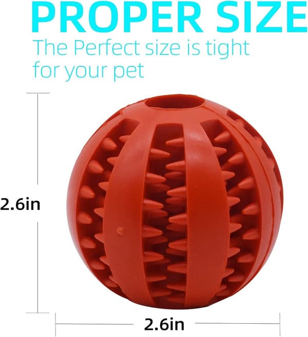 Holdbar tyggebold til hunde - Bideresistent foderdispenser og tandrenser