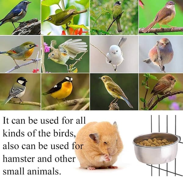 Fuglefoderautomater (2-delt sæt) - Foder- og vandskåle i rustfrit stål med clips - papegøjer - langhalede papegøjer - nymfeparakitter - conures - 2-delt