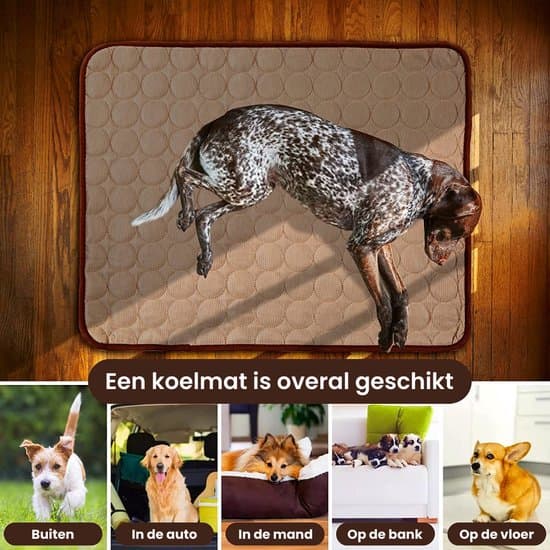 Køletæppe til hund og kat - 100X75CM