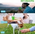 Dailygoods - Vikbar silikonmugg 2-pack för resor och camping