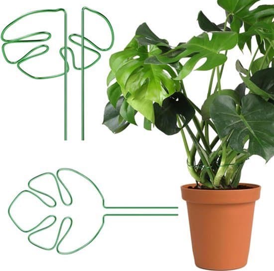 Växtstöd i bladdesign, 2-pack - Aluminiumstöd för Monstera krukväxter