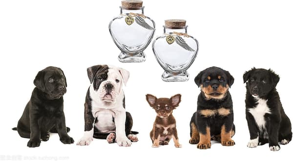 2-delt kæledyrsminde flaske - Pels minde - Mindeurne - Velegnet til hund og kat