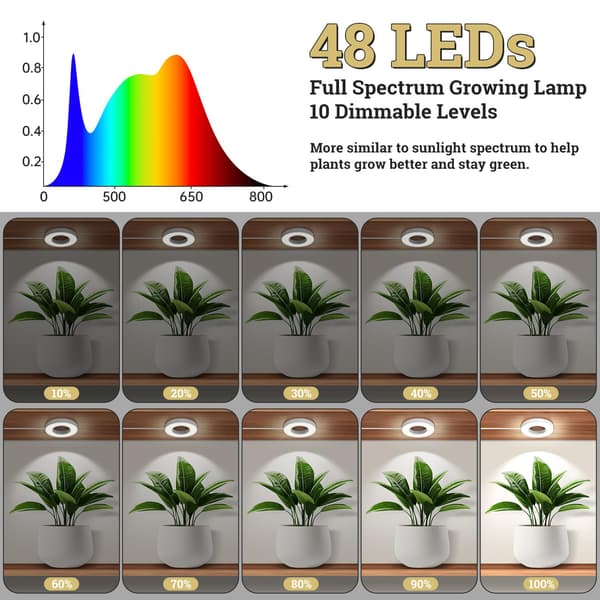 LED-lamppu