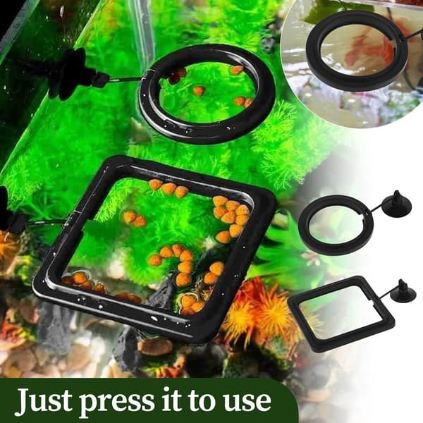 Allecto Plus - Foderstation för akvariefiskar - Foderringar - Flytande foderring - Förhindrar turbulens - 2 stycken - Svart - 2 stycken