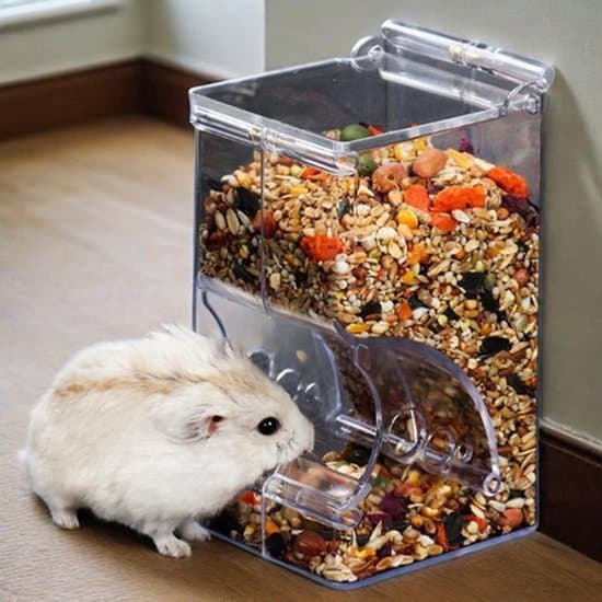 Hamsterfoderautomat til hamstere - transparent akryl - automatisk - 300 ml - velegnet til papegøjer og mini pindsvin