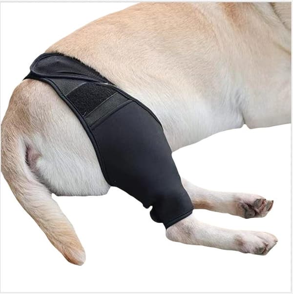 Hunde bagbensskinne til brudheling L