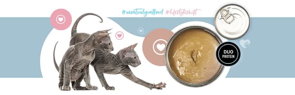 3COTY 41. Kalkon och kyckling för kattungar - våtfoder för katter - 180 g