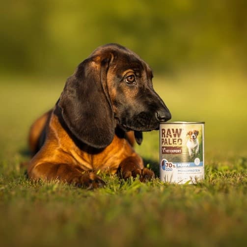 VETEXPERT Raw Paleo Puppy Monoprotein Torsk - vådfoder til hvalpe - 400 g