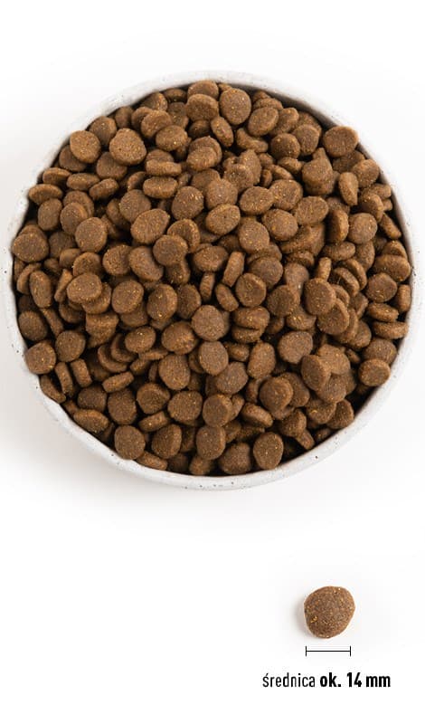 ACANA Highest protein Wild Prairie Dog - tørfoder til hunde - 11,4 kg