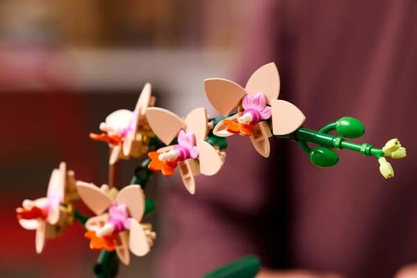 LEGO ICONS 10343 Botaniska samlingen - Miniorkidé