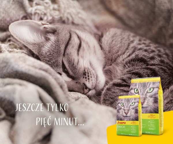 Josera SensiCat torrfoder för katter 2 kg Vuxen lever