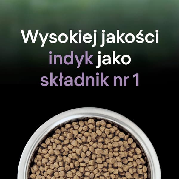 PURINA Pro Plan LiveClear Sterilized Rik på kalkon - torrfoder för katter - 1,4 kg