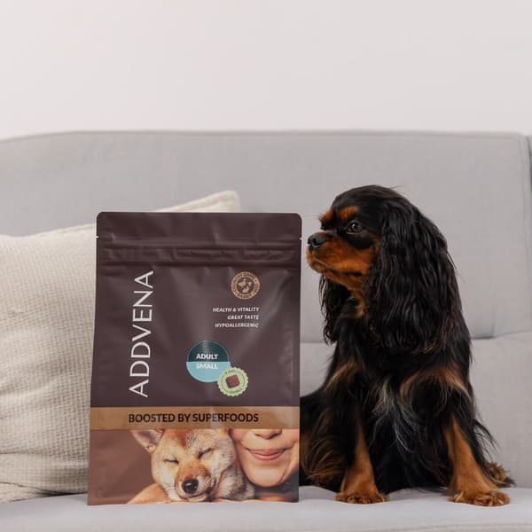 ADDVENA Boosted by superfoods Adult Small Beef - tørfoder til hunde - 10 kg