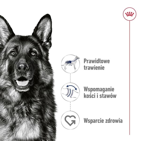ROYAL CANIN Maxi Loaf - våtfoder för hundar - 410 g