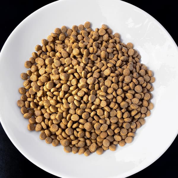 VET RESPONSE Viktbalans - torrfoder för katter - 1,6 kg