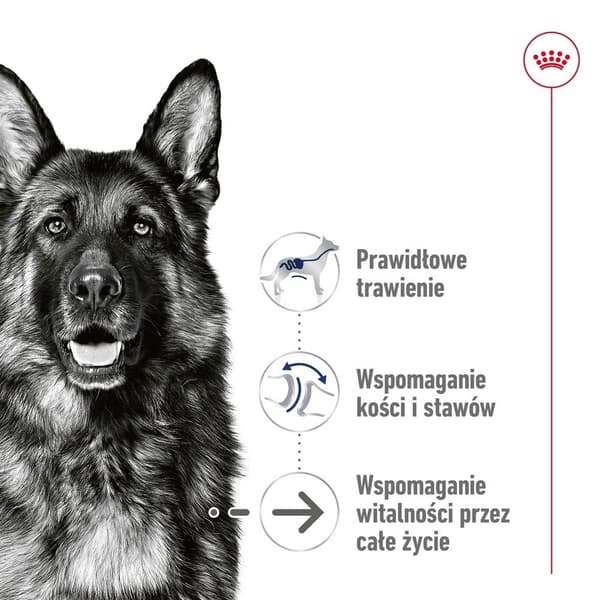 ROYAL CANIN Maxi Aging Loaf - vådfoder til hunde - 410 g