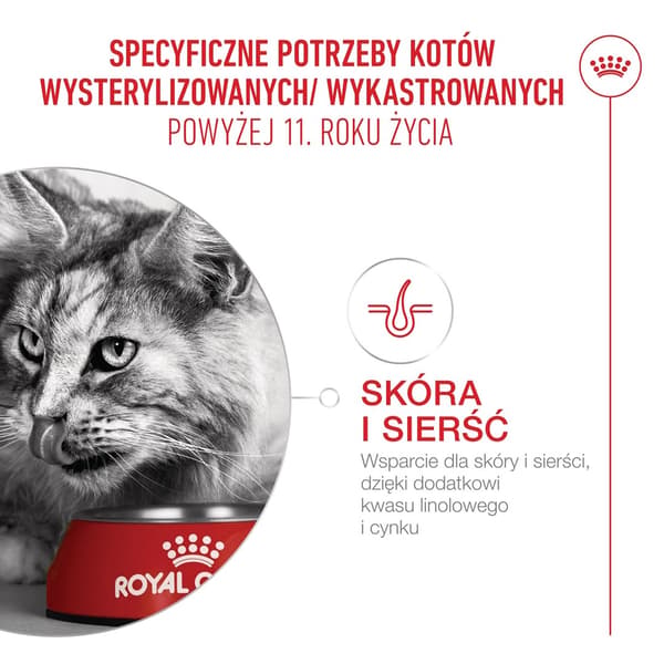 ROYAL CANIN Aging 11+ Sterilized - torrfoder för katter - 4 kg