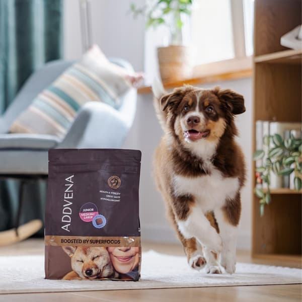 ADDVENA Boosted by superfoods Junior Medium/Large Beef - torrfoder för hundar - 10 kg