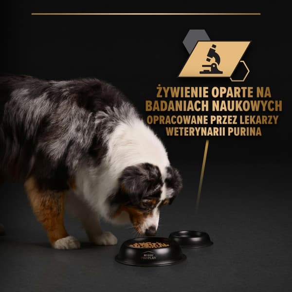 PURINA Pro Plan Everyday Nutrition Voksen Kalkun i gelé - vådfoder til hunde - 400 g