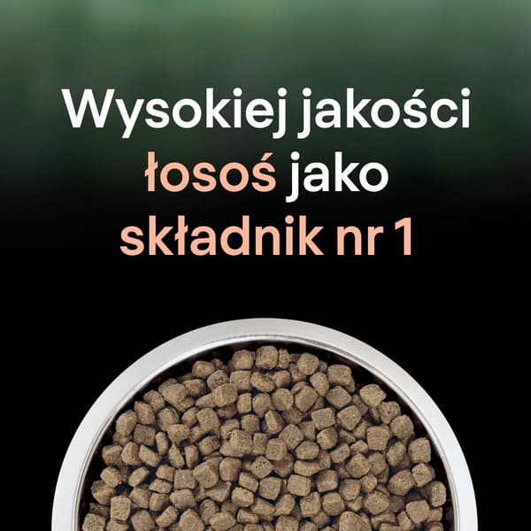 PURINA Pro Plan LiveClear Sterilized Rig på laks - tørfoder til katte - 1,4 kg