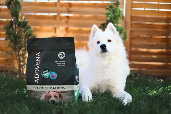 ADDVENA Taste Sensations Adult Medium/Stor Kalkon - torrfoder för hundar - 10 kg