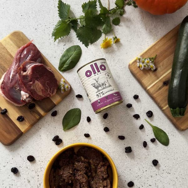 OLLO Umami Lamm- och nötkött - våtfoder för hundar - 850 g