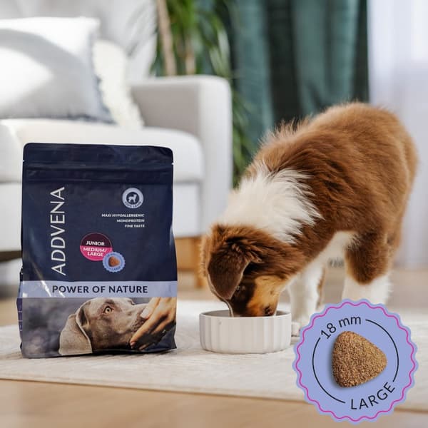 ADDVENA Power of Nature Junior Medium/Stor Lamm - torrfoder för hundar - 10 kg