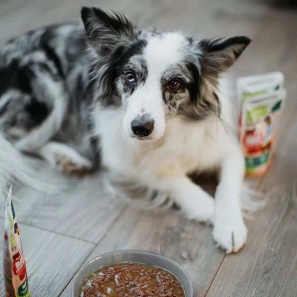 ANIMAL ISLAND Kalkun-/oksefileter i bouillon - vådfoder til hunde - 8x150g