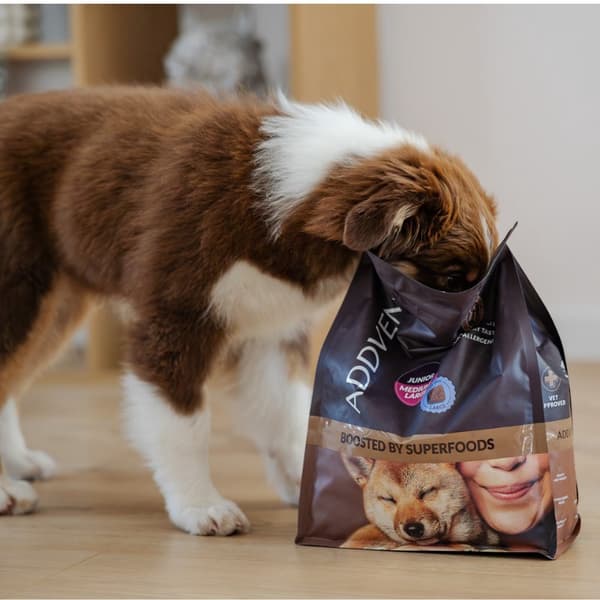ADDVENA Boosted by superfoods Junior Medium/Large Beef - tørfoder til hunde - 10 kg