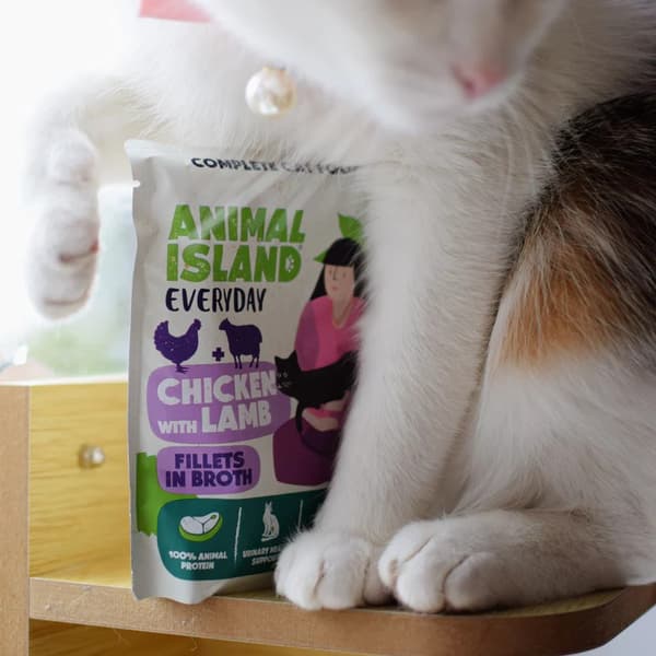 ANIMAL ISLAND Kylling med lammefileter i bouillon - vådfoder til katte - 12x85g