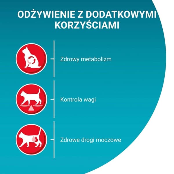 PURINA One Bifensis Sterilcat Oksekød - tørfoder til katte - 800 g