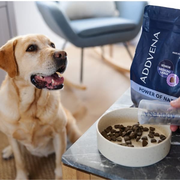 ADDVENA Power of Nature Senior Medium/Large Lam - tørfoder til hunde - 2,5 kg