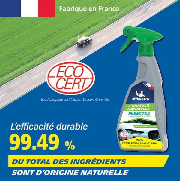 MICHELIN insektsrengöring 500 ml