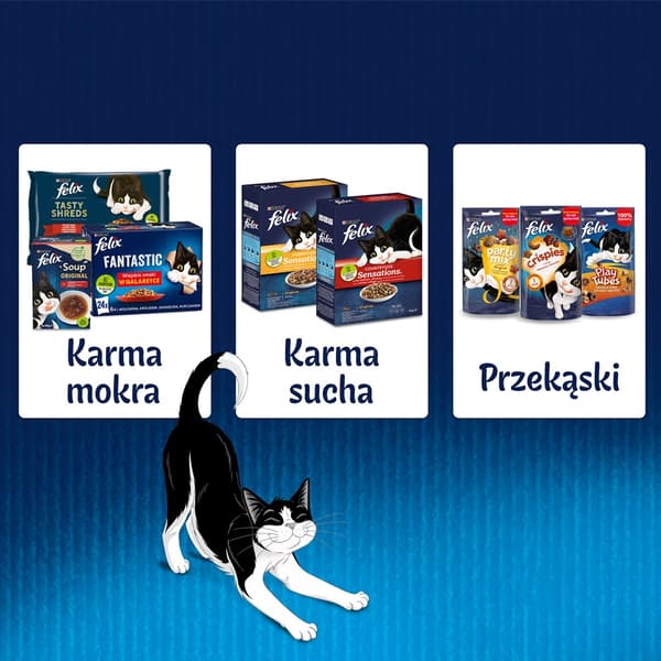 Felix Fanstastic Junior - vådfoder til katte - 85 g