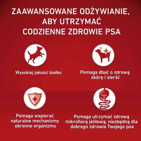 PURINA One Adult Medium/Maxi Rig på oksekød med ris - tørfoder til hunde - 12 kg