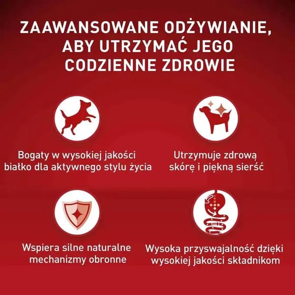 PURINA One Mini/Small Active Beef - våtfoder för hundar - 85 g