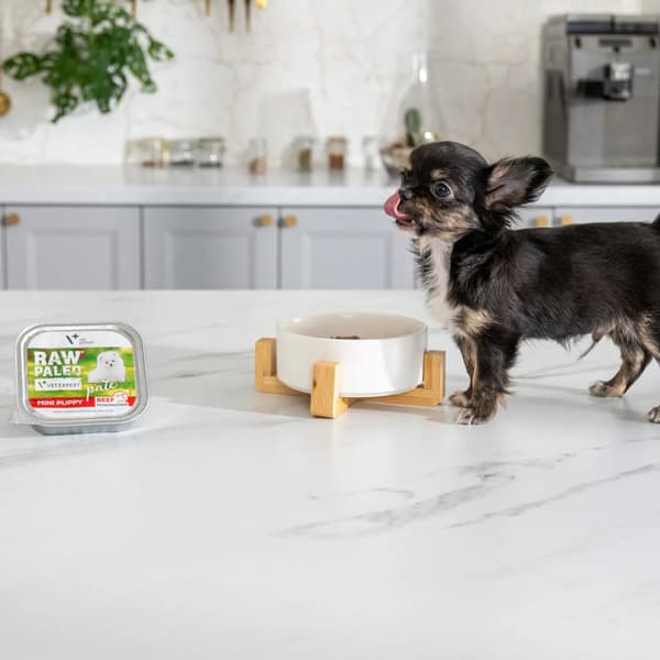 VETEXPERT Raw Paleo Paté Mini Puppy Beef - våtfoder för valpar - 150 g