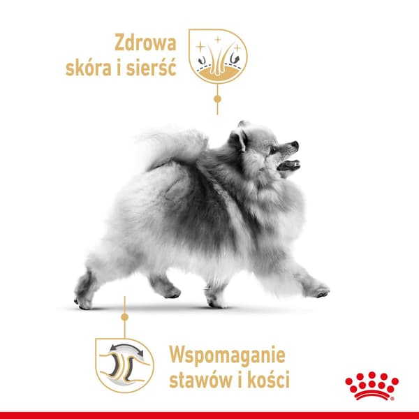 Royal Canin Pomeranian Adult - tørfoder til hunde - 3 kg